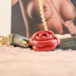 Collier et laisse Roses